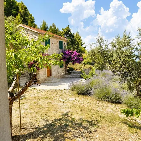 Villa Stone Marjan
