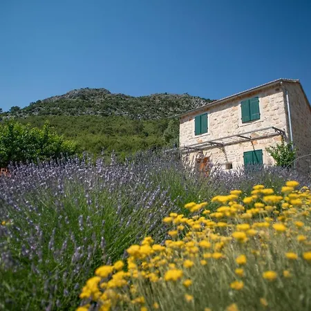 Stone Marjan * Pitve